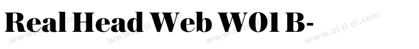Real Head Web W01 B字体转换